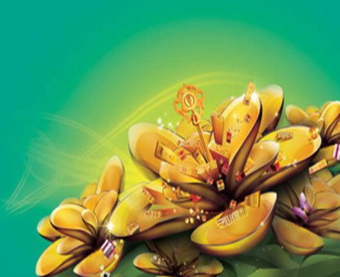 网贷投资理财需慎重 忌盲从