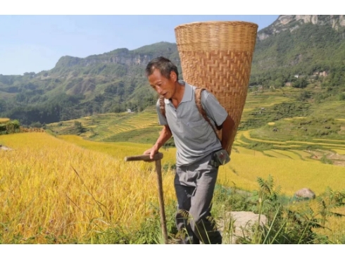 恒昌庆2022丰收节：乡村振兴迎盛会 桃花源里启新篇