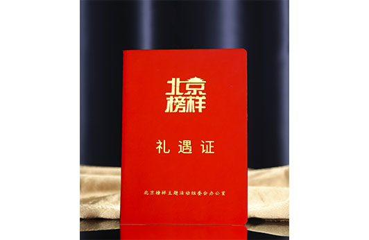 游龙向上 恒昌创始人兼CEO获颁首批“北京榜样礼遇证”